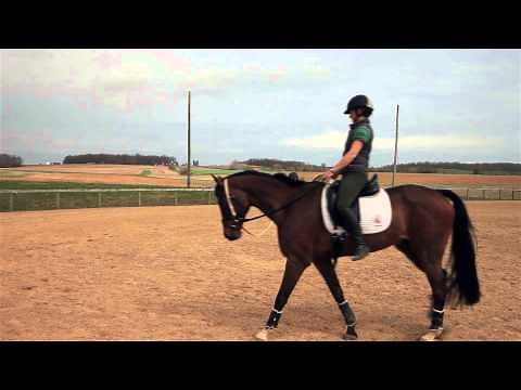 How to improve your Sitting Trot