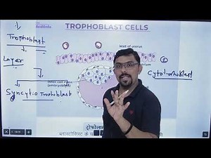 Trophoblast