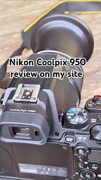 Beginner camera for wildlife photography- a Nikon Coolpix P950 review on my site!