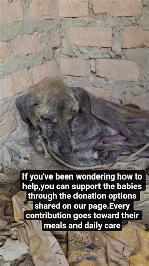 kindly donate please🙏🏻🙏🏻