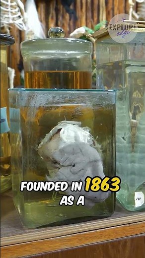 Explore the Strange and Shocking Mutter Museum in Pennsylvania #explore