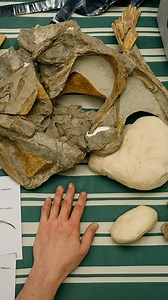 470K views · 18K reactions | Las cosas más extrañas encontradas bajo el hielo 勞 #fblifestyle #interesante #datoscuriosos #curiosidades | Luis Orellana | Facebook