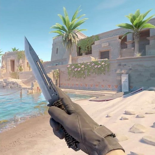 Paracord Knife | CS2 (2024)