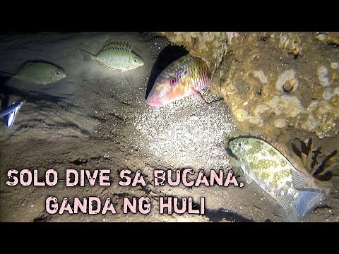 Night Spearfishing Philippines solo dive sa Bucana, ganda ng huli