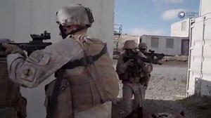 Military Working Dogs: Urban Combat Apprehension