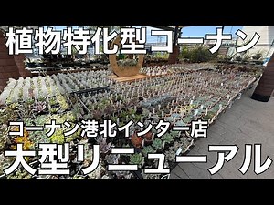 A plant-focused home center?! A look inside the major renovation of Konan Kohoku Interchange store