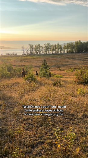 The Life-Changing Impact of Horses
