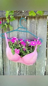 51K views · 104 reactions | BRA POT IDEAS IN GARDEN AMAZING! #Plants...