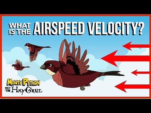 What is the Airspeed Velocity of an Unladen Swallow?