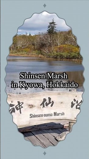 Autumn Scenery at Shinsen-numa Marsh, Hokkaido 🍁