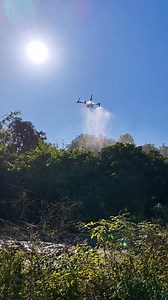 1.2K views · 92 reactions | DJI T70 dual spray 30 liters flow, fruit tree edge experience | MnogKok Luffy | Facebook