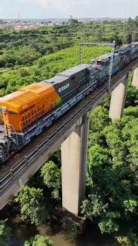 The transfer of the locomotive from ARAUCO, one of the largest pulp producers in Chile.