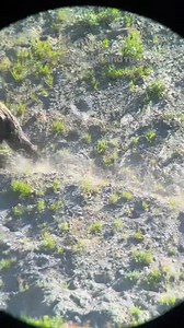 Summer fun! | Wild Love Images - Julie Argyle Wildlife Photography #shootwithacamera