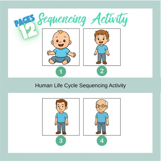 Human Life Cycle Sequencing Activity for Kids, Printable Story Cards - Etsy