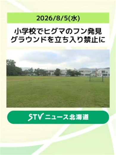 小学校でヒグマのフン発見 グラウンドを立ち入り禁止に 樹木には“ひっかき傷”も…函館市 #ヒグマ #フン #函館 #TikTokでニュース