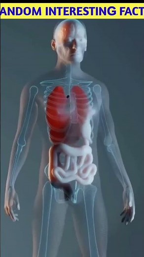 Random intersting facts 🔥 | #viralnews #viral #telugufacts