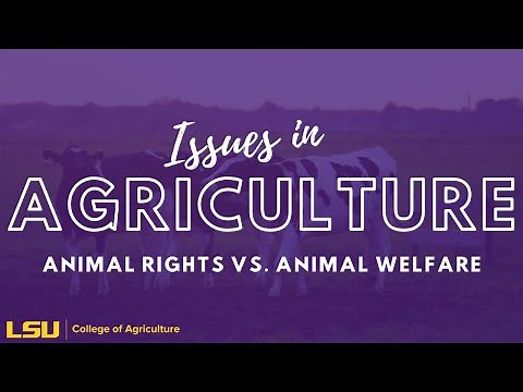 Animal Rights and Animal Welfare | Issues in Ag