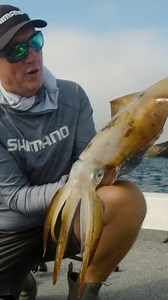 39 reactions | Bomber Farrell has been testing out Shimano's latest travel rod range, including multi-piece Zodias, Revolution R-Spec and Raider rods. Check out the full video on the Shimano Australia YouTube channel! | SHIMANO Australia Fishing | Facebook