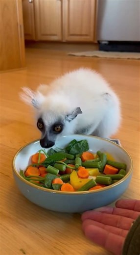 Animals and we humans always have beautiful farewells and reunions