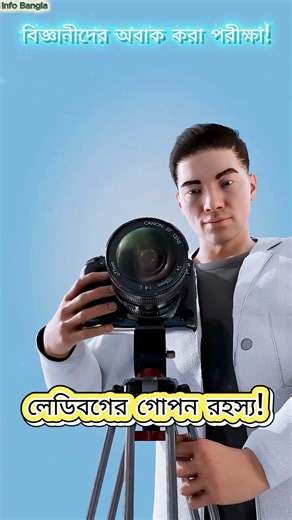 The secret of ladybug wings! 🐞 How do they fold their wings #shorts