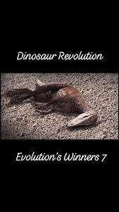 72K views · 2.2K reactions | Dinosaur Revolution Episode 1 | Evolution's Winners Part 7 #PrehistoricEarth #dinosaur #dinosaurplanet | Prehistory, Nature and Science | Facebook