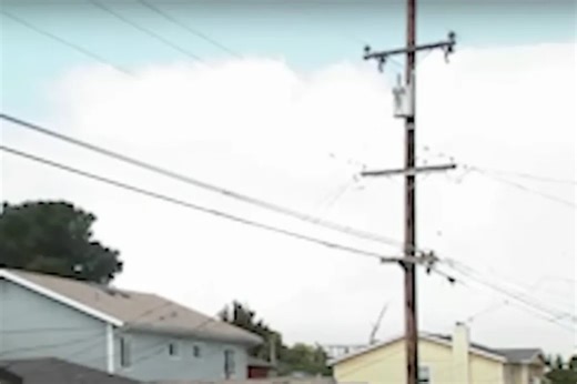 California Residents Mystified by 'Inexplicable' Exploding Birds Epidemic, While Authorities Suggest Foul Play