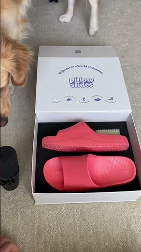 VIRAL PILLOW SLIDES – MAX Comfort Level Discounts videos #Quackblogs #pillowslides