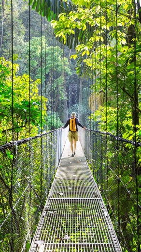 Save £200pp on our Costa Rica solo tour, this week only 🌴 Travelling solo doesn’t mean travelling alone. On this 10-day guided journey, you’ll join a small group of like-minded travellers and explore Costa Rica’s wildlife, waterfalls, and volcanoes, with every detail taken care of. What’s included? ✈️ UK return flights with British Airways/Iberia from London 🏨 Comfortable accommodation 🍴 19 meals and 10 excursions 👨‍💼 An expert local guide throughout 📍See the full itinerary and this week’s