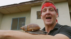 How snails could change the future of Africa’s bush animals