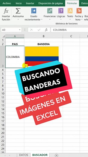 Cómo recuperar imágenes de países en Excel fácilmente