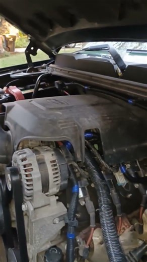 Localización de la válvula de purga 2007 Chevy truck 1500 Silverado 5.3L 8V LT