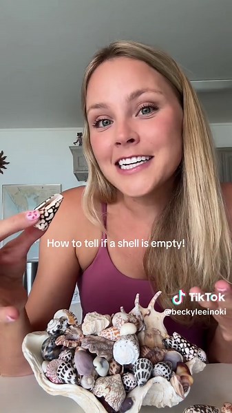 Received a ton of questions on my last video so this addresses the top concerns! 🐚 #conesnail #oceansafety #seashells #beachcombing #shelling
