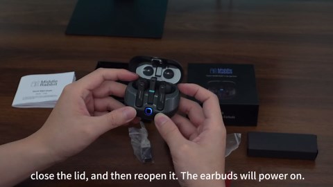 Middle Rabbit SW5 Wireless Gaming Earbuds with Mic, Compatible with PC PS5 PS4 Desktop VR, Computer Headphones, 2.4G Dongle & Bluetooth 5.4 Dual-Mode, 4 Built-in Microphones, 20ms Low Latency