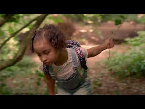 Owl 50p - Winnie the Pooh & Friends Collection