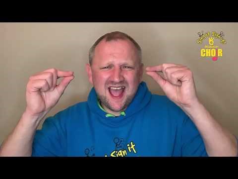 Sing it Sign it - A Million Dreams