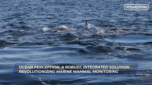 47 reactions | Oceaneering announces the successful field trial of Ocean Perception™, a patented marine mammal mitigation software solution for the offshore wind and renewables industry. Read more: https://www.oceaneering.com/oceaneering-announces-a-successful-field-trial-for-ocean-perception-marine-mammal-mitigation-software-solution/ | Oceaneering | Facebook