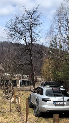 daria_20025_ на TikTok