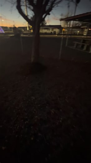 Hawthorne NV dog park review A #malinois #dogpark #roadtrip #nevada | Element Belgians