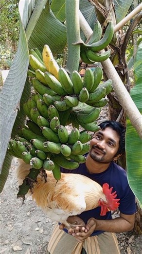 ১০ টি সেরা ফলের নাম। Funny shorts feed #funny #shorts #fruit #viral #youtubeshorts #trending