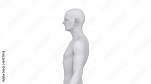 Aging man in time lapse left view with alpha channel