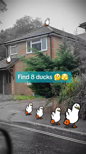 Find 8 Ducks Challenge: Can You Spot Them All? 🤔🫣