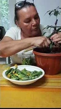 Sweet and sour pickled gherkins#cucumbers#marinade#recipe#canning#preservation#pickles#
