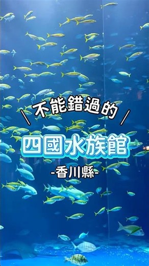 四國高松｜極具設計感的絕美水族館｜#打卡勝地 #旅行