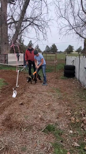 Another fun-filled Easter Sunday in the books 😊Kids and dogs had a re... | Sporting Dogs