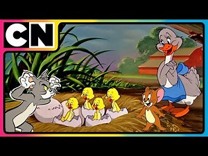 Tom and Jerry😺🐭| Five Little Ducks 🦆| A Quacky Rhyme You’ll Love! | Cartoon Characters | ‪@cnindia‬