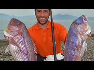 NON STOP Fishing Action 😱 Catching BIG FISH for 2 hours ✔️ INSHORE - OFFSHORE | ΨΑΡΕΜΑ GREECE!!!
