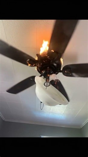 Ceiling fan catches on fire and falls of the ceiling. Do you think this is real or AI