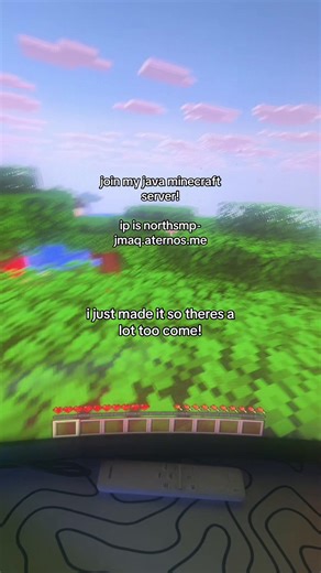 #minecraft#java#javaserver#survival #videogames #fyp#real#viral