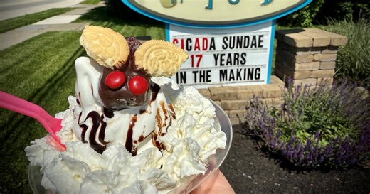 Cicada ice cream sundae in honor of the arrival of Brood XIV now at Maineville ice cream shop