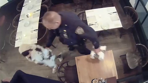 Social media influencer accused of skipping out on bills at high-end restaurants in NYC